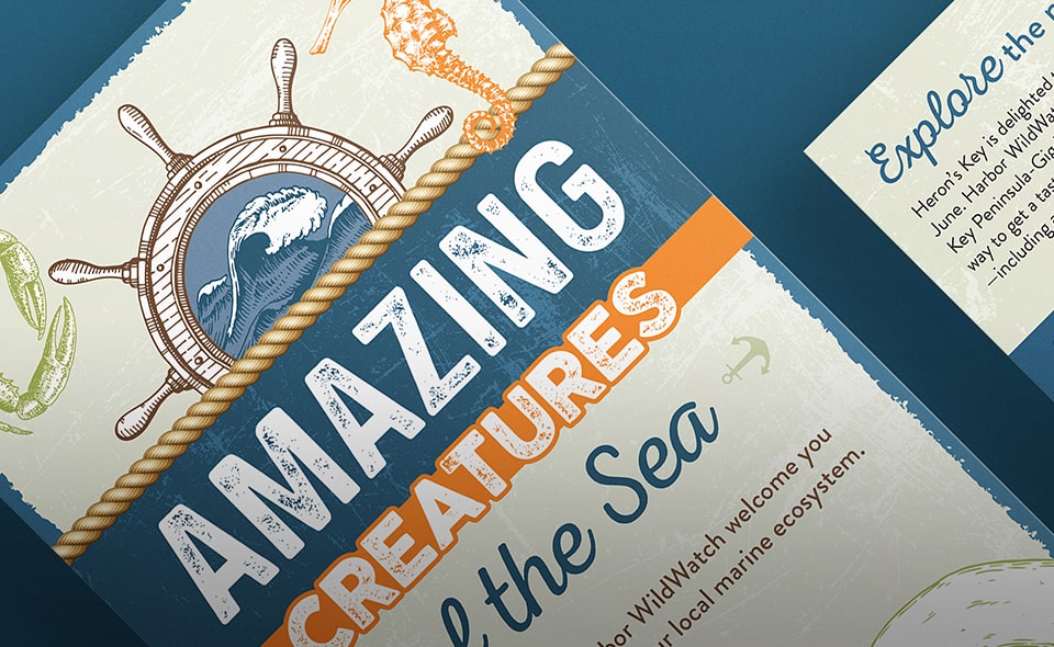 Educational Wildlife Event Direct Mail - Blake Lookabill Portfolio